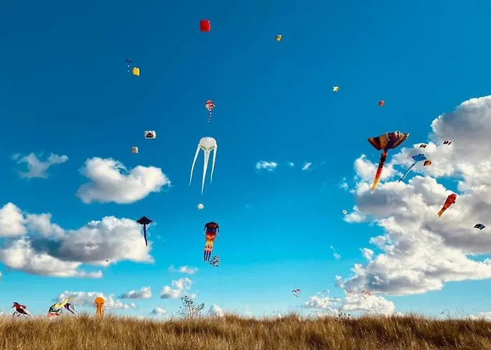 Am Südstrand Auf Fehmarn, Hafenblick Fehmarn